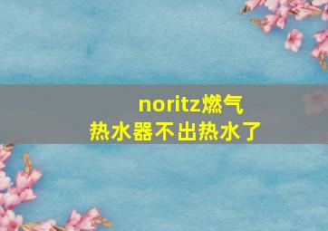 noritz燃气热水器不出热水了