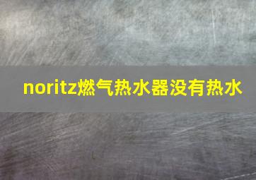 noritz燃气热水器没有热水