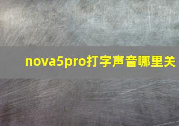 nova5pro打字声音哪里关