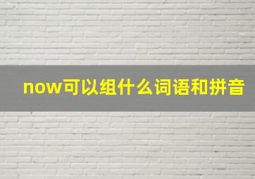 now可以组什么词语和拼音