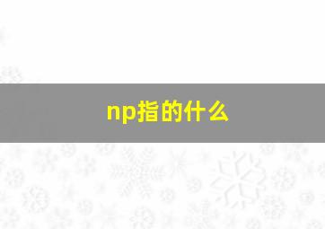 np指的什么