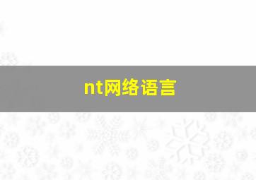 nt网络语言