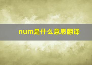 num是什么意思翻译