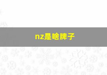 nz是啥牌子