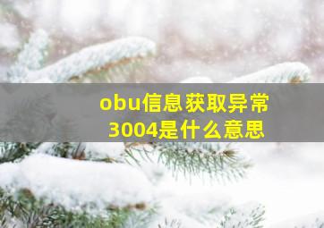 obu信息获取异常3004是什么意思