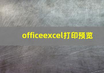 officeexcel打印预览