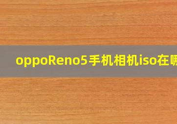 oppoReno5手机相机iso在哪了