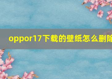 oppor17下载的壁纸怎么删除