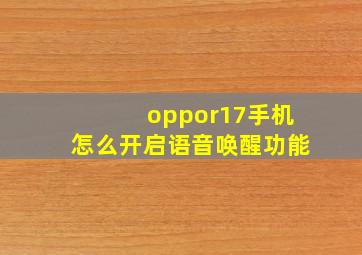 oppor17手机怎么开启语音唤醒功能