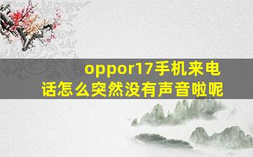 oppor17手机来电话怎么突然没有声音啦呢