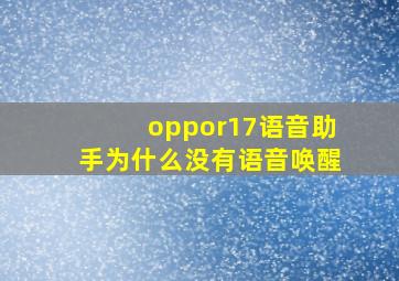 oppor17语音助手为什么没有语音唤醒