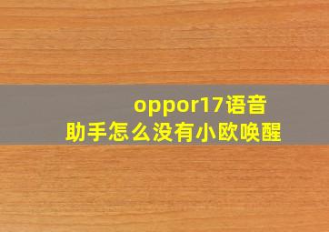 oppor17语音助手怎么没有小欧唤醒