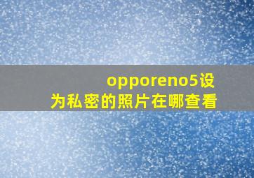 opporeno5设为私密的照片在哪查看