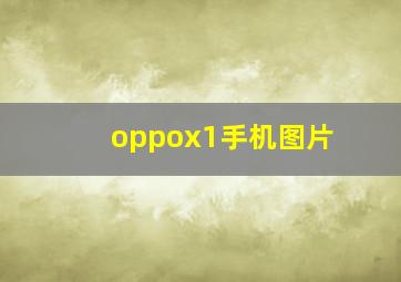 oppox1手机图片