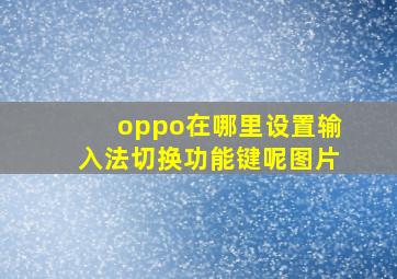 oppo在哪里设置输入法切换功能键呢图片