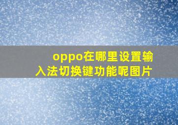 oppo在哪里设置输入法切换键功能呢图片