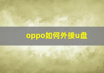 oppo如何外接u盘