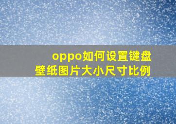 oppo如何设置键盘壁纸图片大小尺寸比例