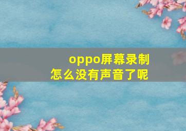 oppo屏幕录制怎么没有声音了呢