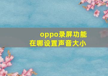 oppo录屏功能在哪设置声音大小