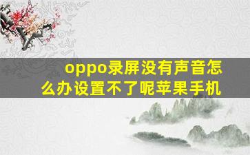 oppo录屏没有声音怎么办设置不了呢苹果手机