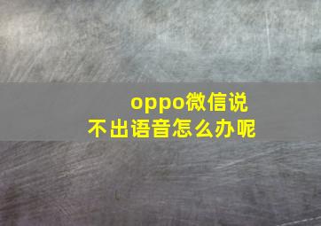 oppo微信说不出语音怎么办呢