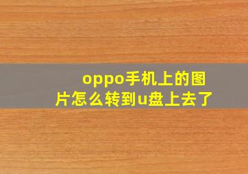 oppo手机上的图片怎么转到u盘上去了