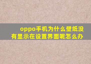 oppo手机为什么壁纸没有显示在设置界面呢怎么办