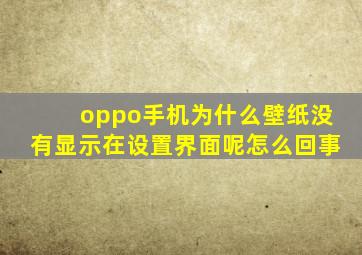 oppo手机为什么壁纸没有显示在设置界面呢怎么回事