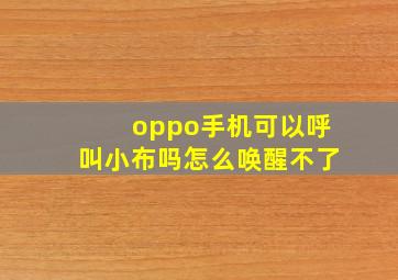 oppo手机可以呼叫小布吗怎么唤醒不了