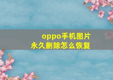 oppo手机图片永久删除怎么恢复