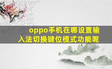 oppo手机在哪设置输入法切换键位模式功能呢