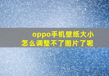 oppo手机壁纸大小怎么调整不了图片了呢