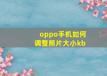 oppo手机如何调整照片大小kb