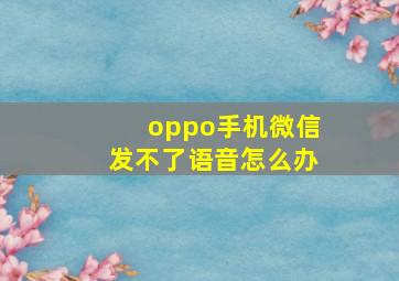 oppo手机微信发不了语音怎么办