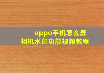 oppo手机怎么弄相机水印功能视频教程