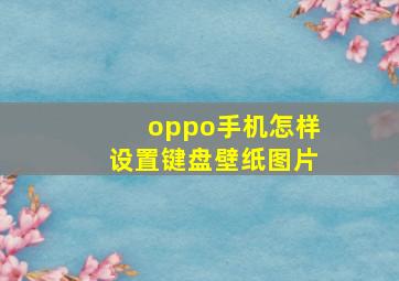 oppo手机怎样设置键盘壁纸图片