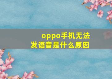 oppo手机无法发语音是什么原因