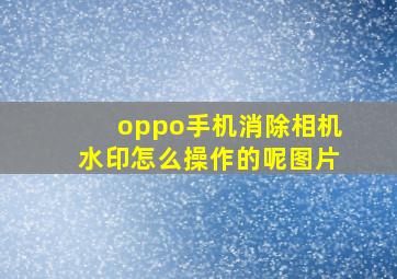 oppo手机消除相机水印怎么操作的呢图片