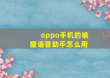 oppo手机的唤醒语音助手怎么用