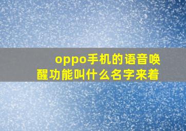 oppo手机的语音唤醒功能叫什么名字来着