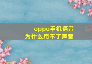 oppo手机语音为什么用不了声音