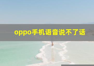 oppo手机语音说不了话