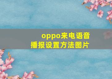 oppo来电语音播报设置方法图片