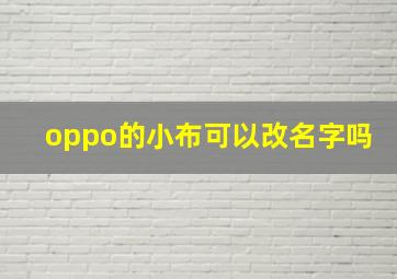 oppo的小布可以改名字吗