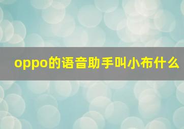 oppo的语音助手叫小布什么