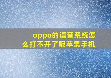 oppo的语音系统怎么打不开了呢苹果手机