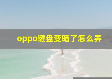 oppo键盘变暗了怎么弄