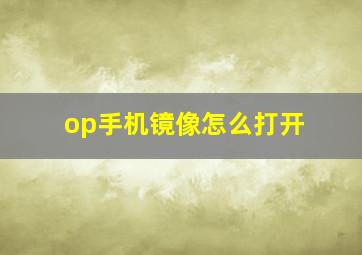 op手机镜像怎么打开