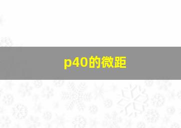 p40的微距